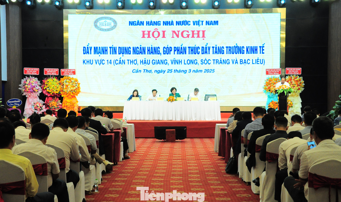 Quang cảnh hội nghị. Ảnh: CK. Quang cảnh hội nghị. Ảnh: CK.