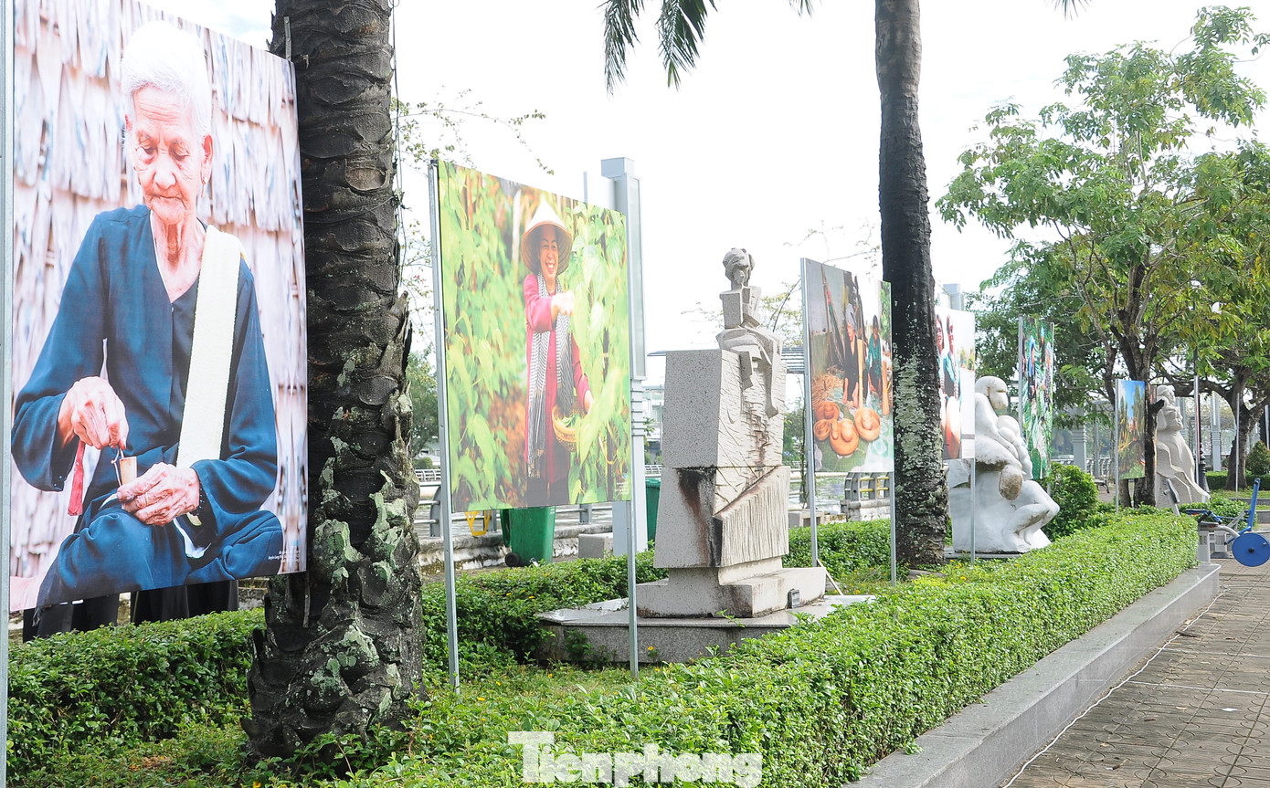 Triển lãm được tổ chức tại bờ kè kênh Xà No, đường Trần Hưng Đạo, thành phố Vị Thanh, tỉnh Hậu Giang, kéo dài đến ngày 29/10.