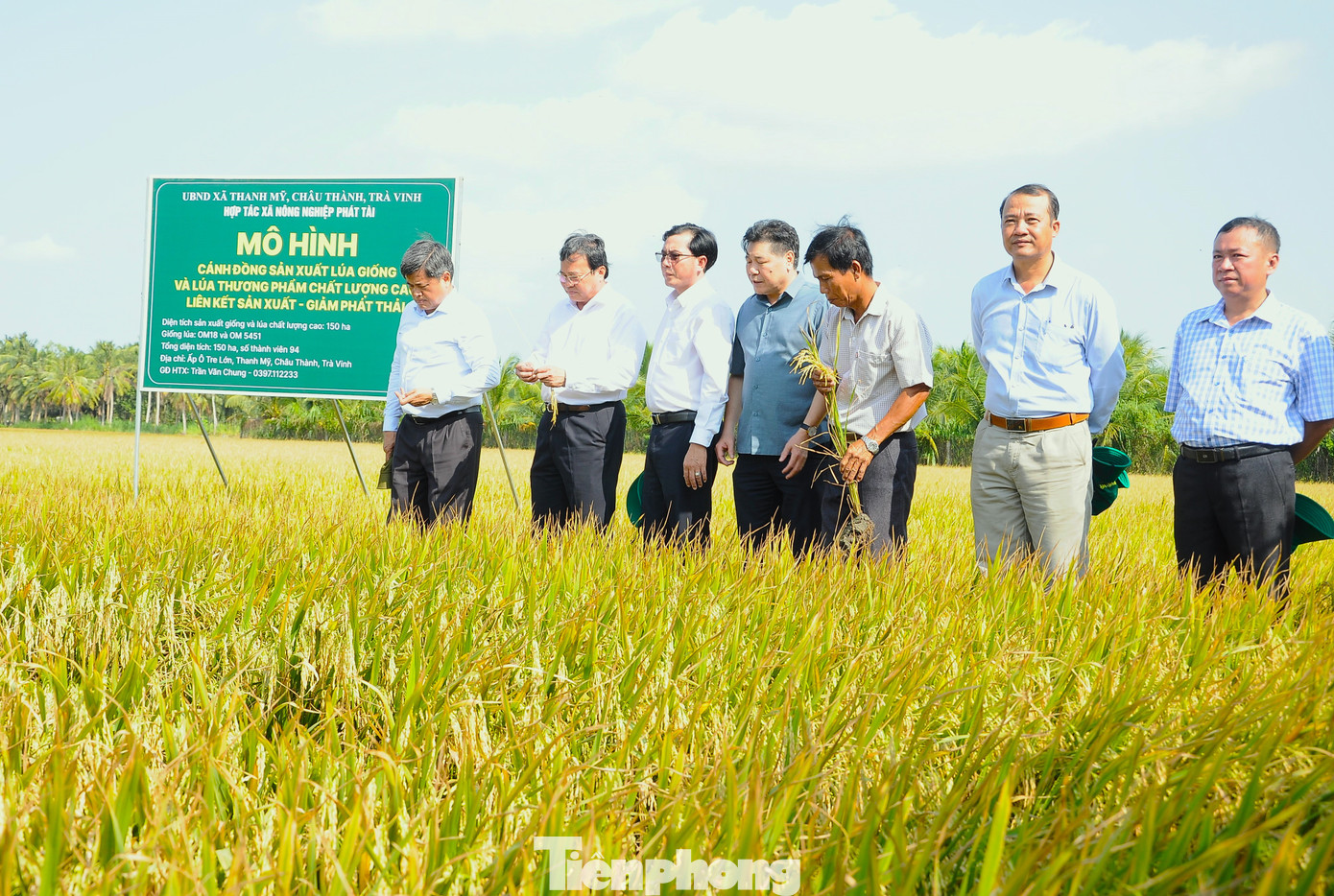 Việt Nam hướng tới hình thành 1 triệu ha lúa chất lượng cao, phát thải thấp tại ĐBSCL.