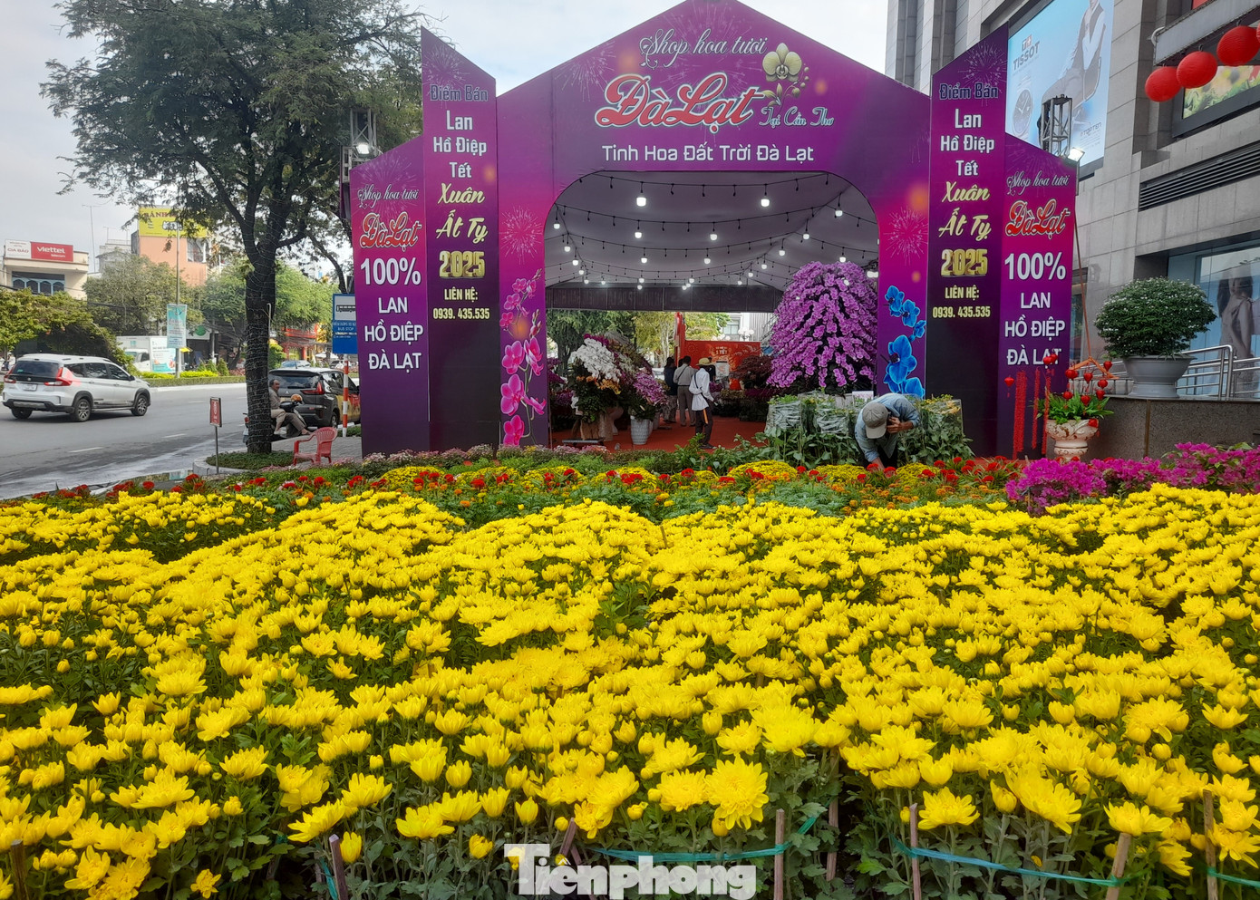 Một shop hoa của xứ sở ngàn hoa xuất hiện giữa lòng Tây Đô.