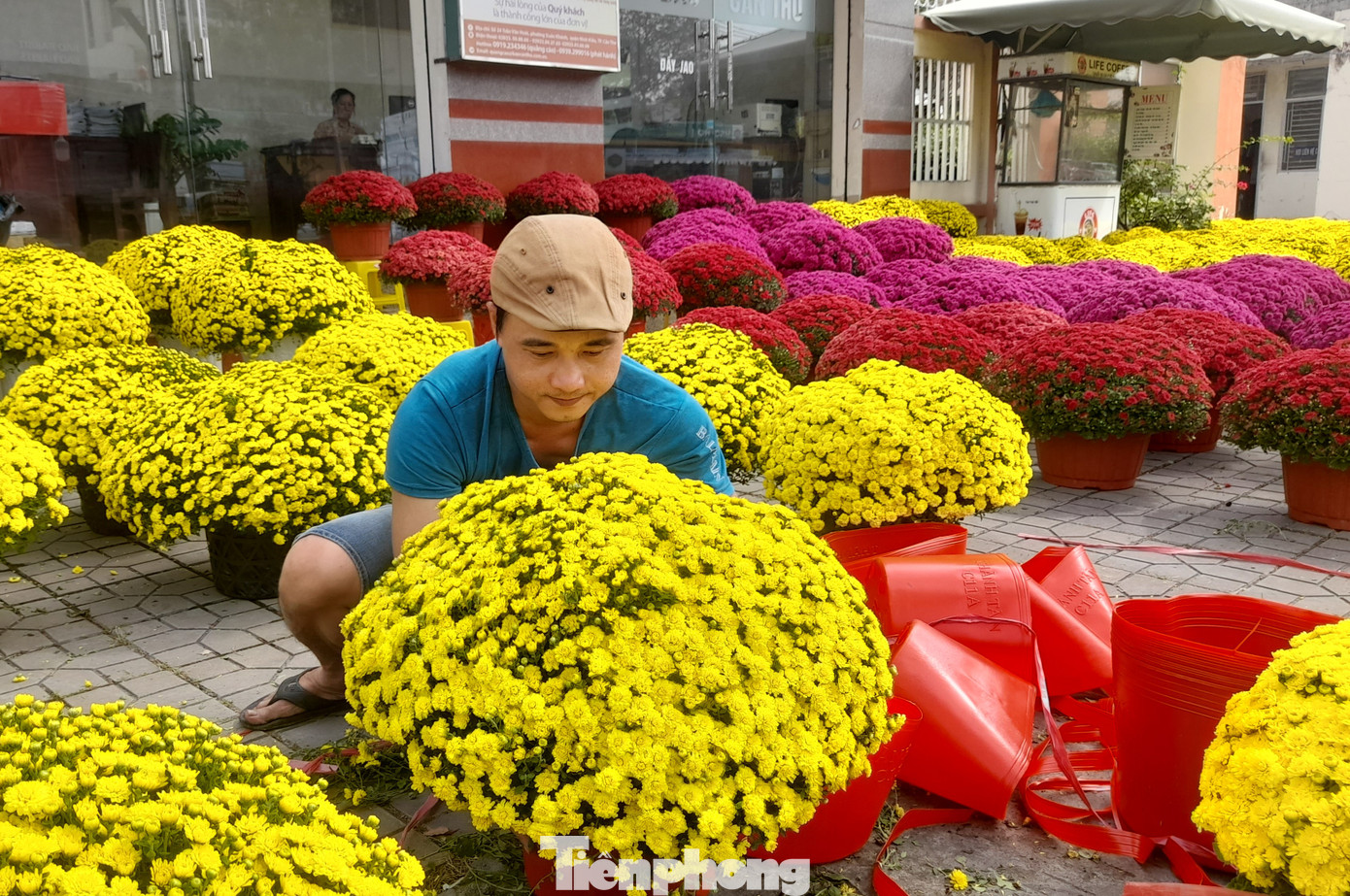 Bán hoa Tết tại điểm này mấy năm nay, anh Ngô Trường Đời cho biết, năm nay giá cả cũng tương đương so với Tết năm trước. Cụ thể, mỗi cặp cúc mâm xôi vàng có giá dao động từ 300-450.000 đồng.