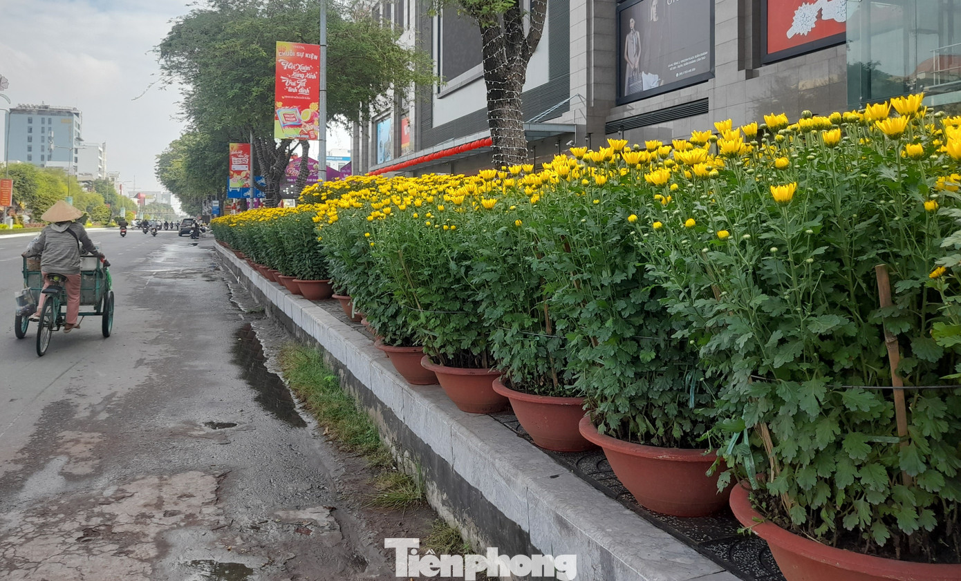 Đường 30 Tháng 4, khu vực Vincom Xuân Khánh cũng tràn đầy sắc vàng của hoa cúc.