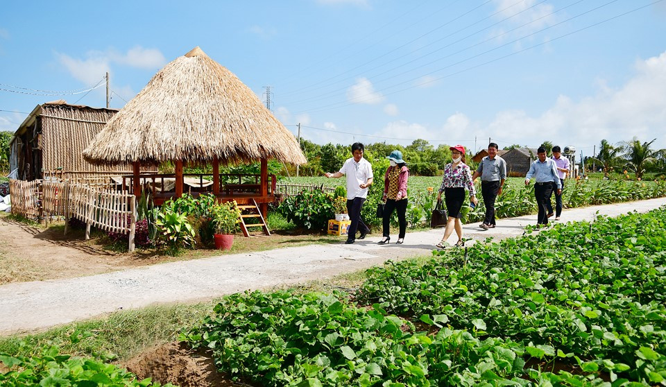 Bảo tàng Nông nghiệp vùng ĐBSCL dự kiến sẽ có các không gian về nông, sản vật, văn hóa trong vùng... (Ảnh minh họa). Bảo tàng Nông nghiệp vùng ĐBSCL dự kiến sẽ có các không gian về nông, sản vật, văn hóa trong vùng... (Ảnh minh họa).