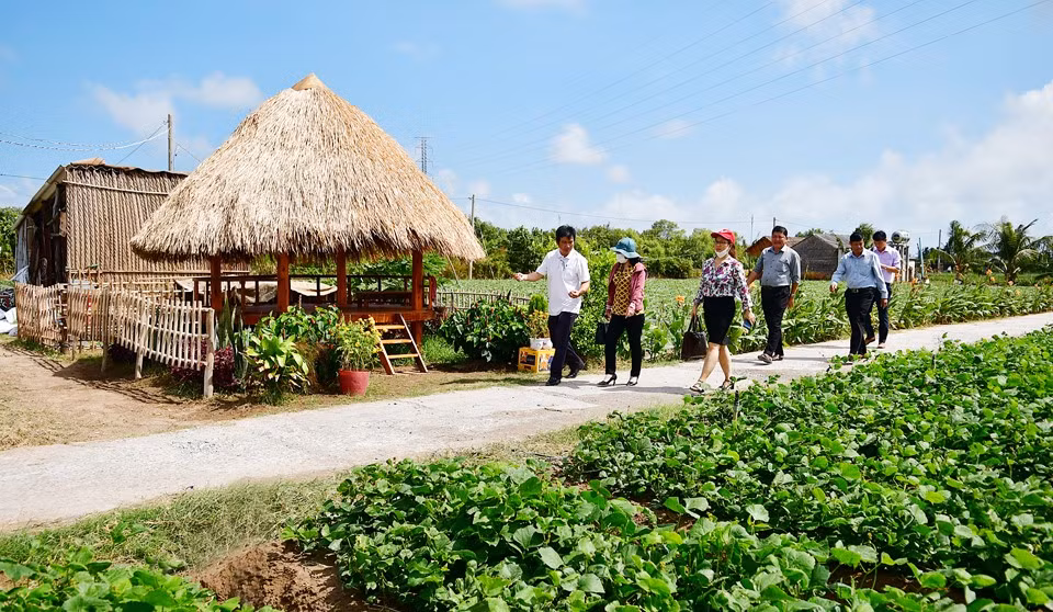 Bảo tàng Nông nghiệp vùng ĐBSCL dự kiến sẽ có các không gian về nông, sản vật, văn hóa trong vùng... (Ảnh minh họa). Bảo tàng Nông nghiệp vùng ĐBSCL dự kiến sẽ có các không gian về nông, sản vật, văn hóa trong vùng... (Ảnh minh họa).