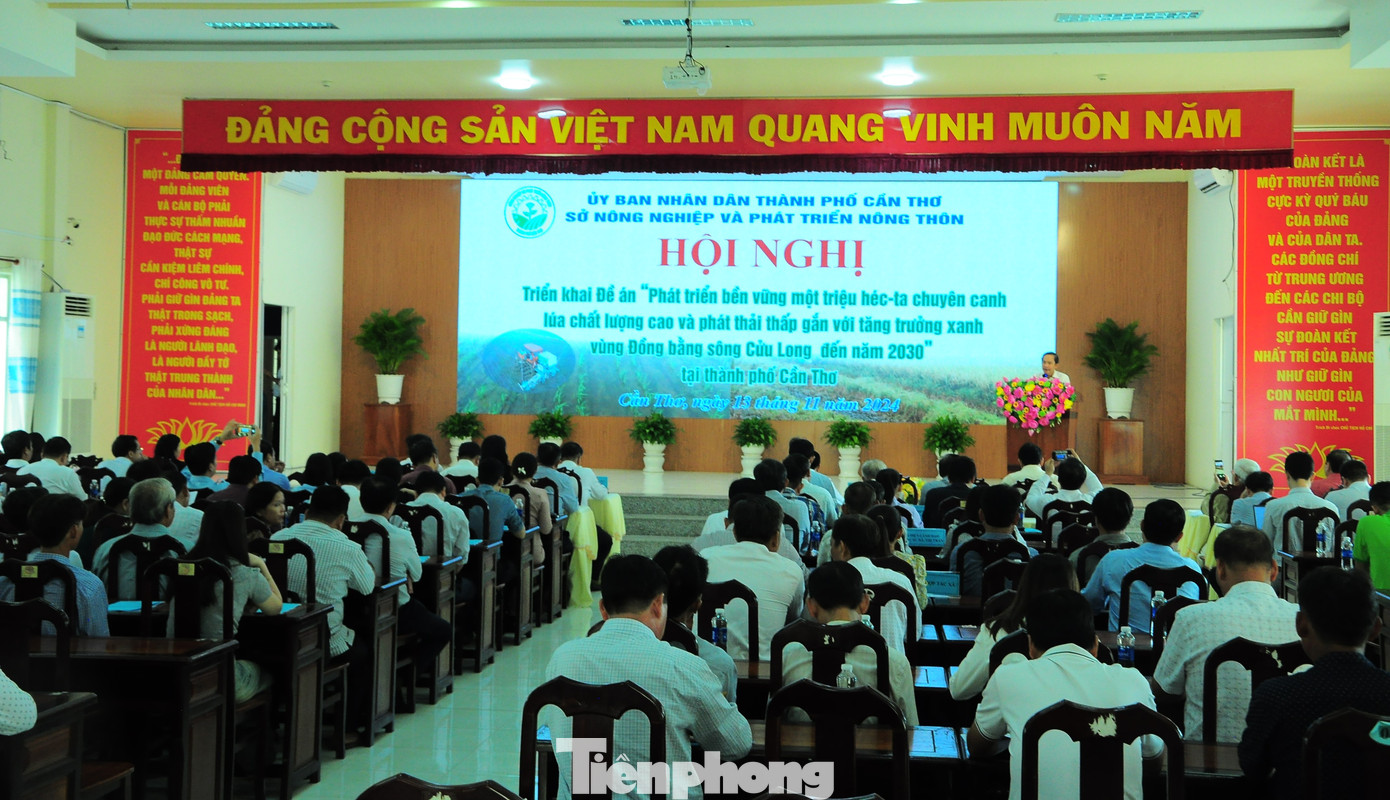 Quang cảnh hội nghị. Ảnh: CK. Quang cảnh hội nghị. Ảnh: CK.