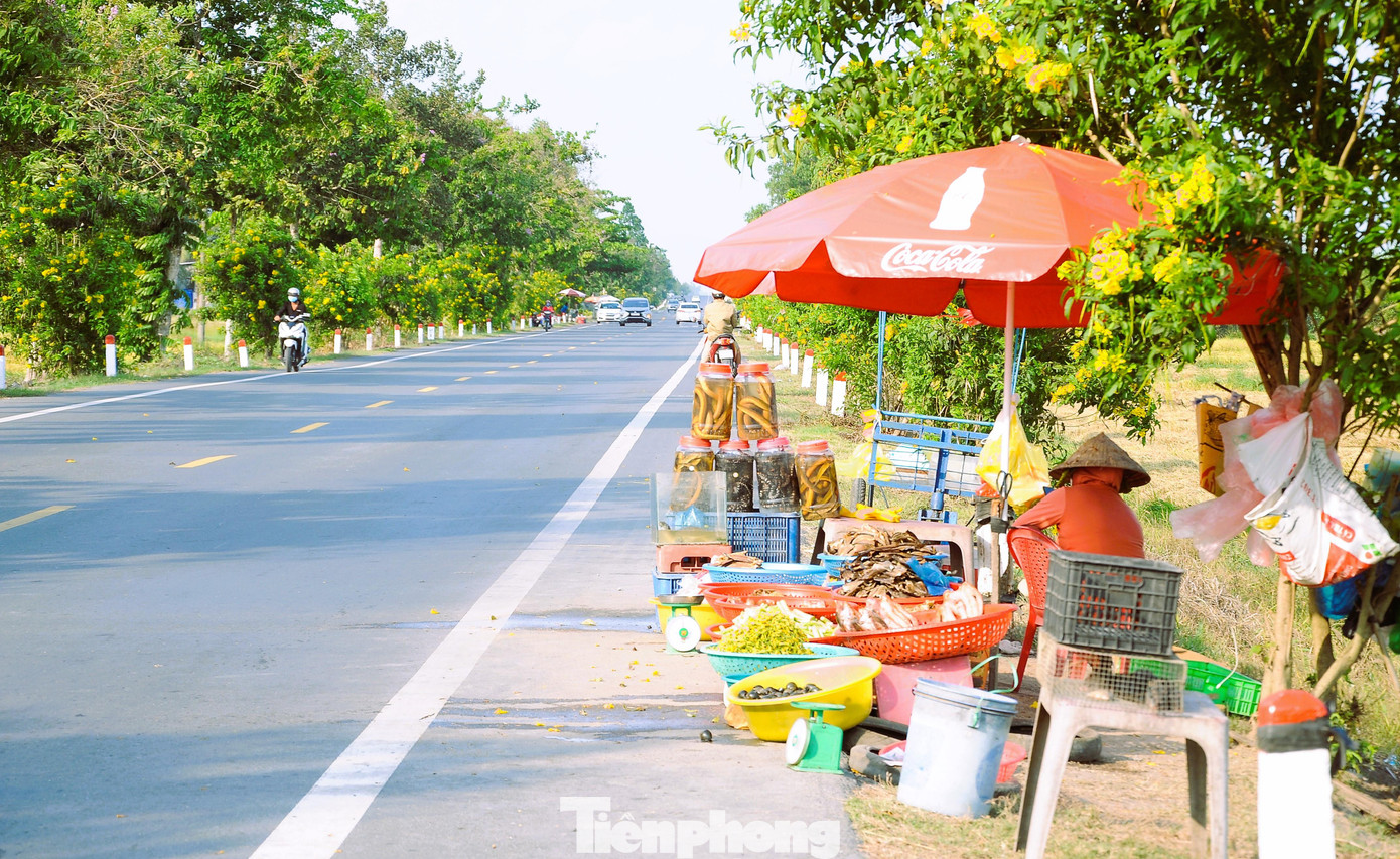Những đặc sản miền Tây bán dọc Quốc lộ 61C, nối Cần Thơ - Hậu Giang.
