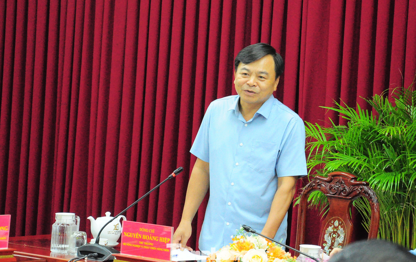 Thứ trưởng Nguyễn Hoàng Hiệp phát biểu tại cuộc họp. Ảnh: CK Thứ trưởng Nguyễn Hoàng Hiệp phát biểu tại cuộc họp. Ảnh: CK