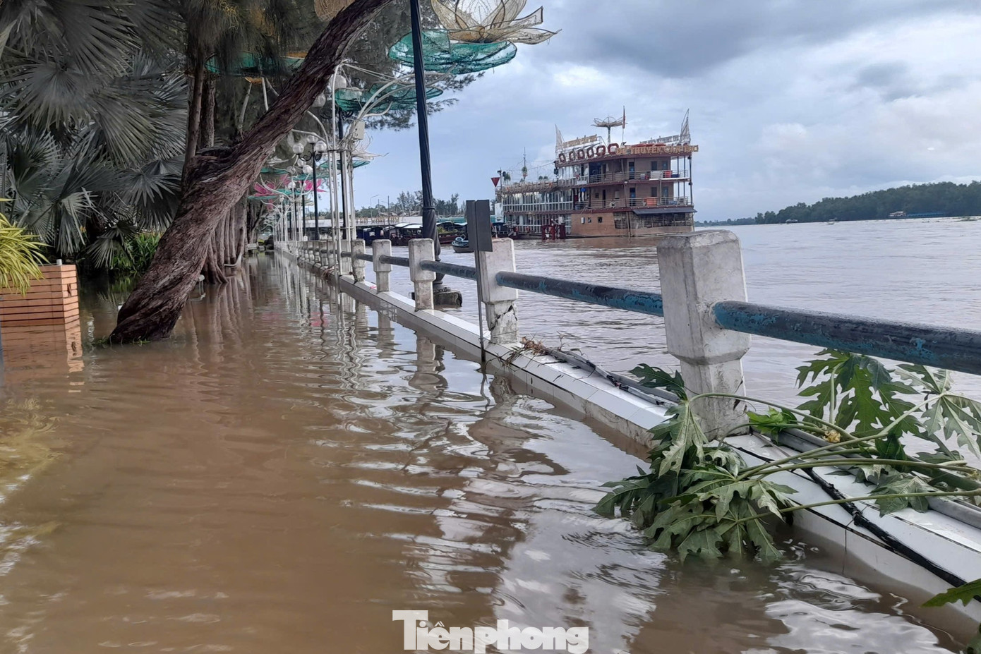 Khu vực bến Ninh Kiều bị ngập trong đợt triều cường giữa tháng 10/2024. Ảnh: CK Khu vực bến Ninh Kiều bị ngập trong đợt triều cường giữa tháng 10/2024. Ảnh: CK