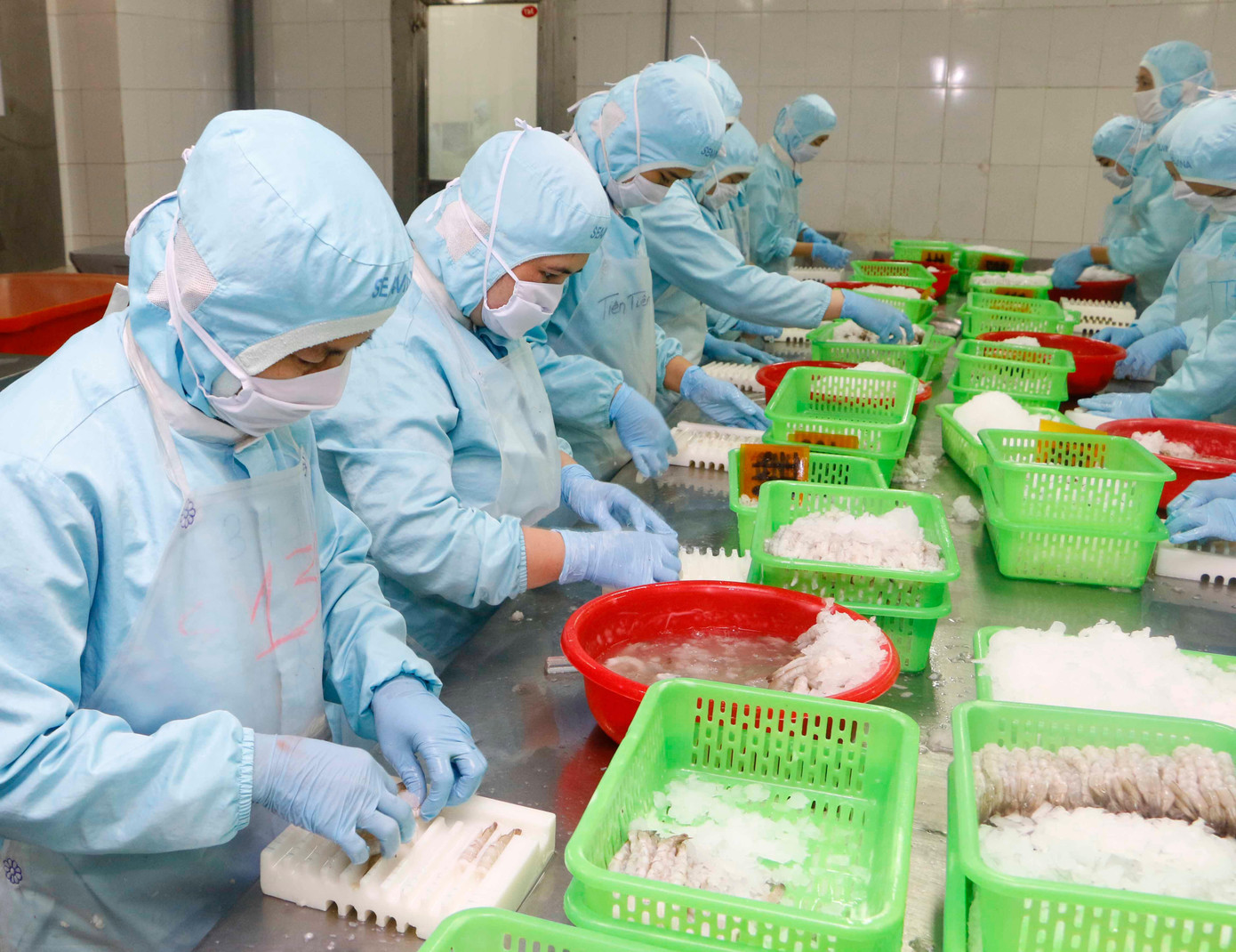 Chế biến tôm tại doanh nghiệp ở ĐBSCL. Ảnh: CK