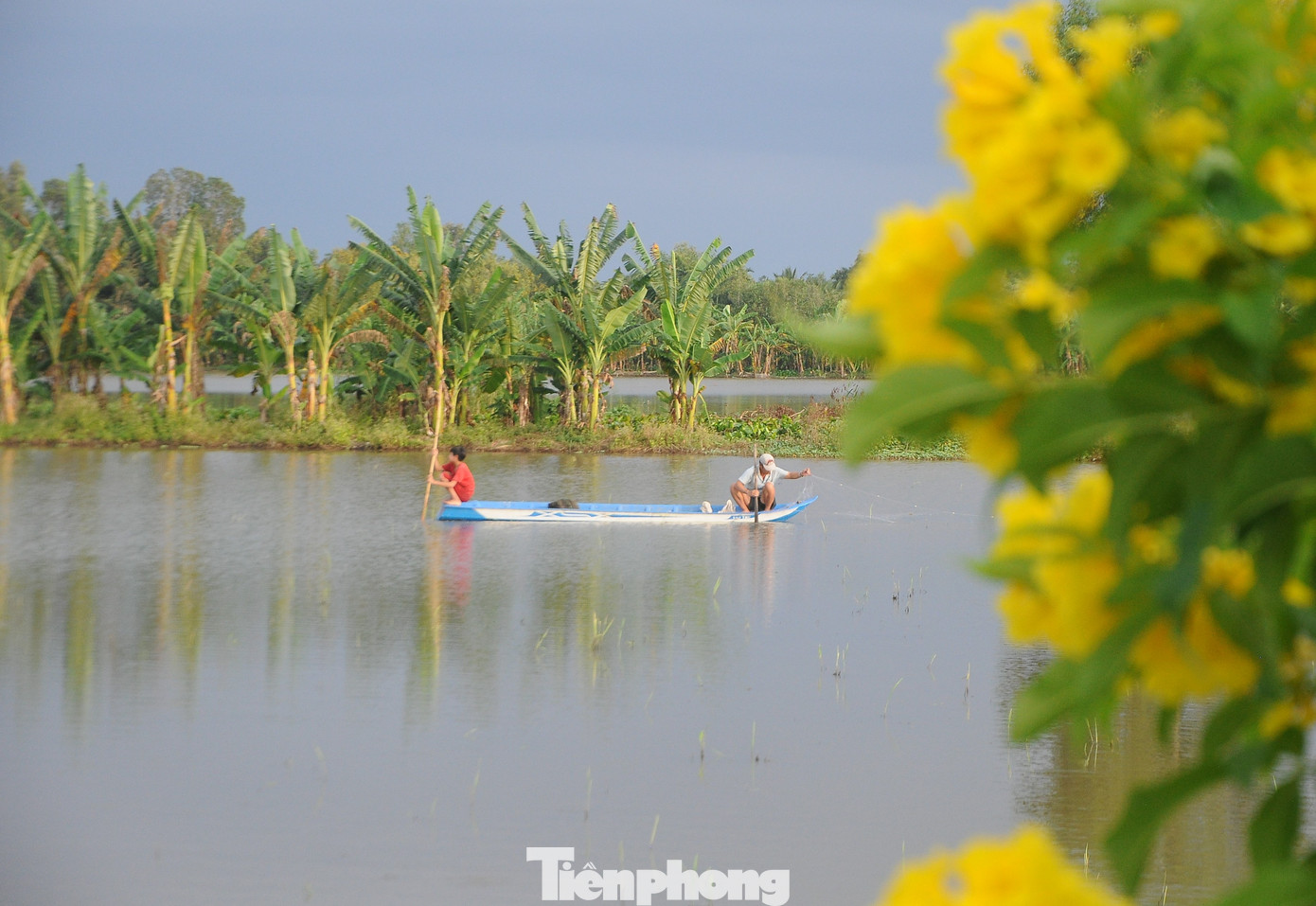 Mưu sinh mùa nước nổi.