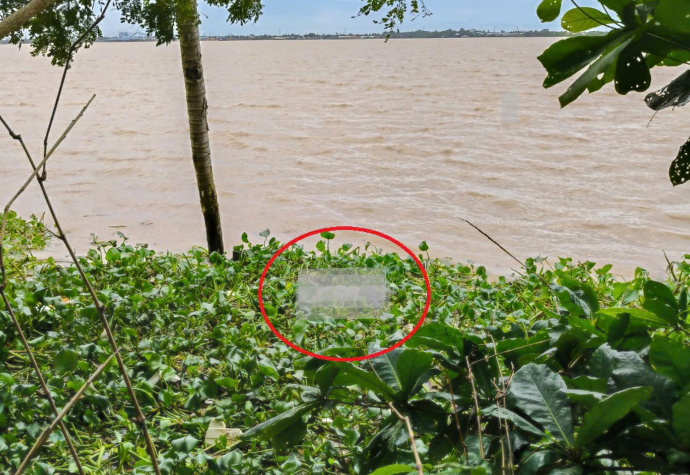 Thi thể bé trai được tìm thấy cách nơi tắm khoảng 3 km.