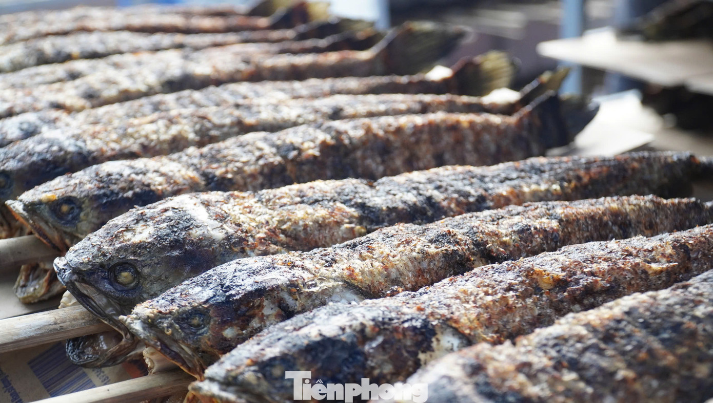 Quán chuẩn bị 2.000 con cá lóc nướng để bán cho khách trong hôm nay. Cá lóc sau khi nướng sẽ được bọc lại bằng giấy bạc để giữ nóng được lâu. Mỗi con cá lóc từ một kg trở lên bán với giá 150.000 đồng.