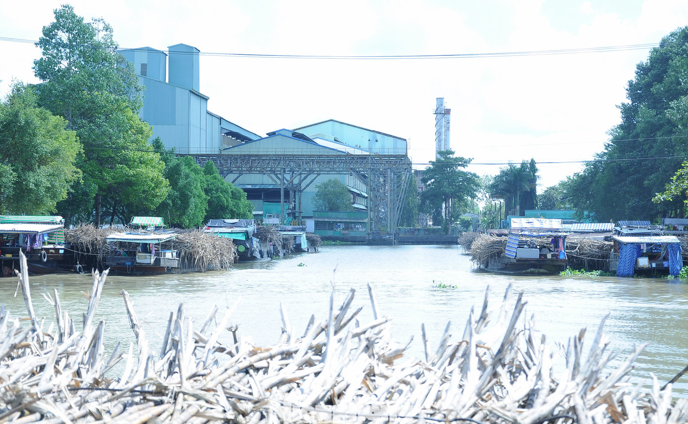 Nhà máy đường Phụng Hiệp của CASUCO. Ảnh: CK.