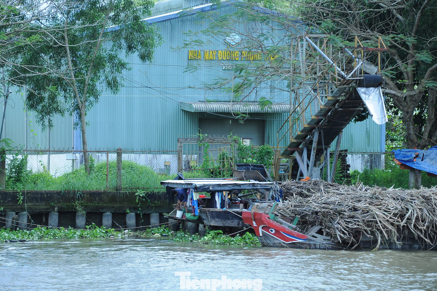 Nhà máy đường Phụng Hiệp là nhà máy đường duy nhất còn lại tại Hậu Giang, trước đây tỉnh này có 3 nhà máy đường.