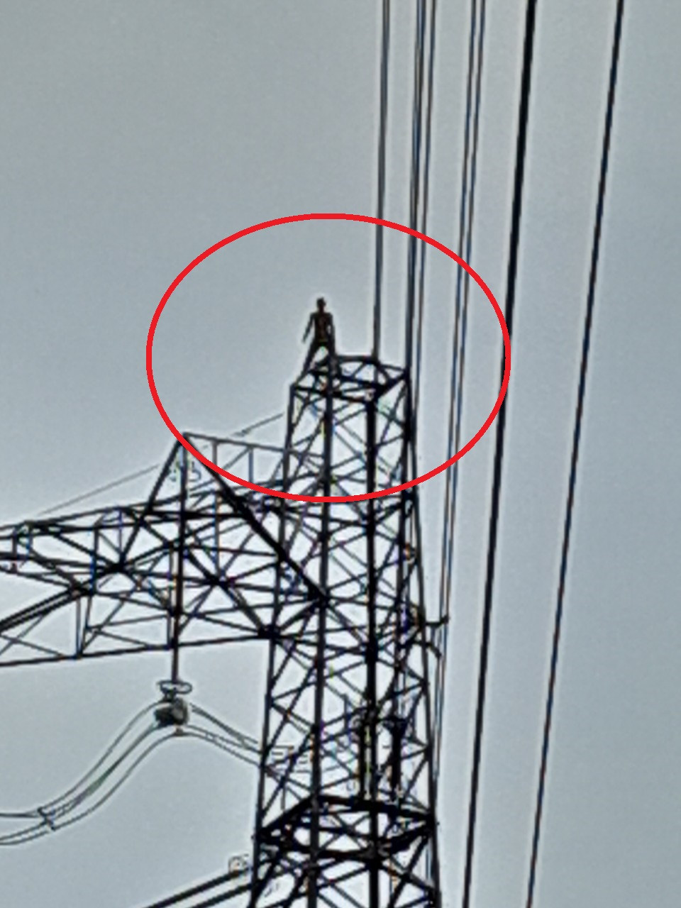 Hình ảnh người đàn ông leo tới đỉnh của cột điện cao thế 500kV.