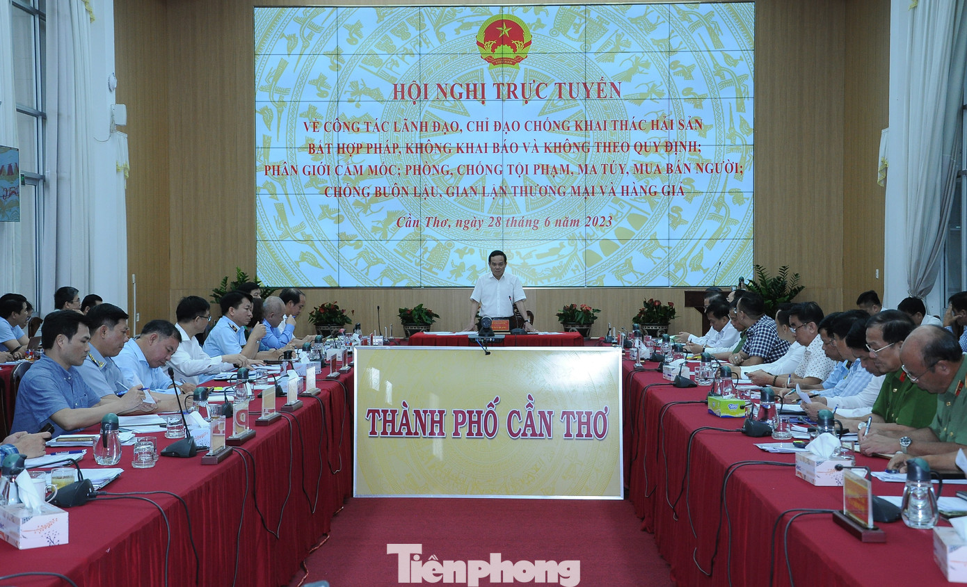 Quang cảnh hội nghị. Quang cảnh hội nghị.