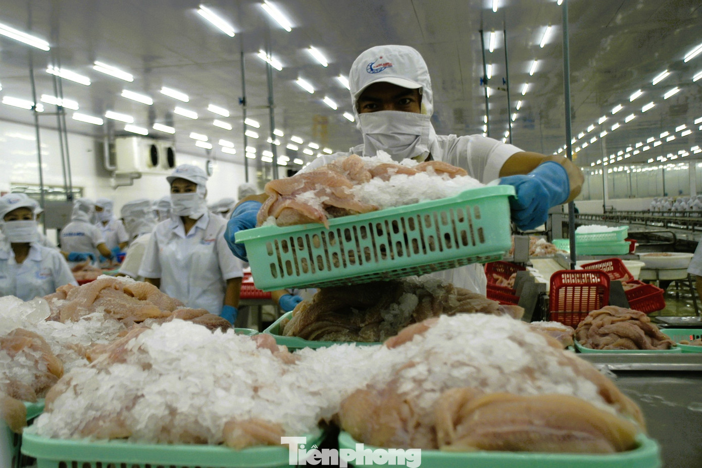 Cần Thơ có 686 doanh nghiệp báo cáo lương thưởng (Ảnh: CK).