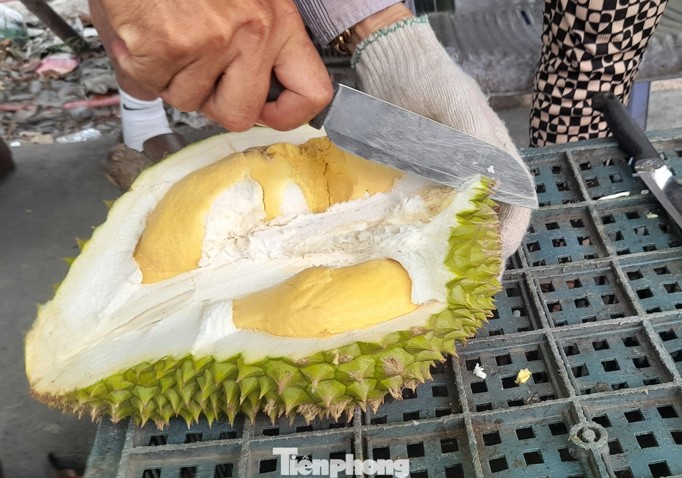 Dù năng suất và sản lượng năm nay đạt khá nhưng giá rớt sâu nên lợi nhuận của bà con trồng sầu riêng giảm đáng kể so với năm trước, nhiều nông dân kém vui.