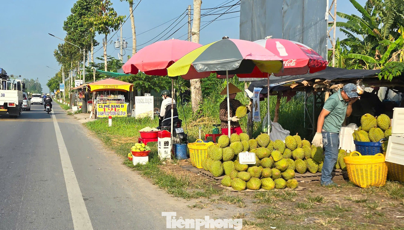 Tại Hậu Giang, đại diện Sở Nông nghiệp và Môi trường cho biết, sầu riêng là loại cây có giá trị kinh tế cao nên những năm gần đây được nhiều nông dân lựa chọn. Tuy nhiên, thị trường sầu riêng cũng gặp phải những thách thức, nhất là về chất lượng và đầu ra, giá sầu riêng giảm mạnh do nguồn cung ngày càng lớn từ việc gia tăng diện tích, trong khi thị trường nhập khẩu siết chặt kiểm soát chất lượng. Ngành chức năng khuyến cáo nông dân canh tác đảm bảo an toàn thực phẩm theo tiêu chuẩn quốc tế, nước nhập khẩu để đáp ứng thị trường tiêu thụ...
