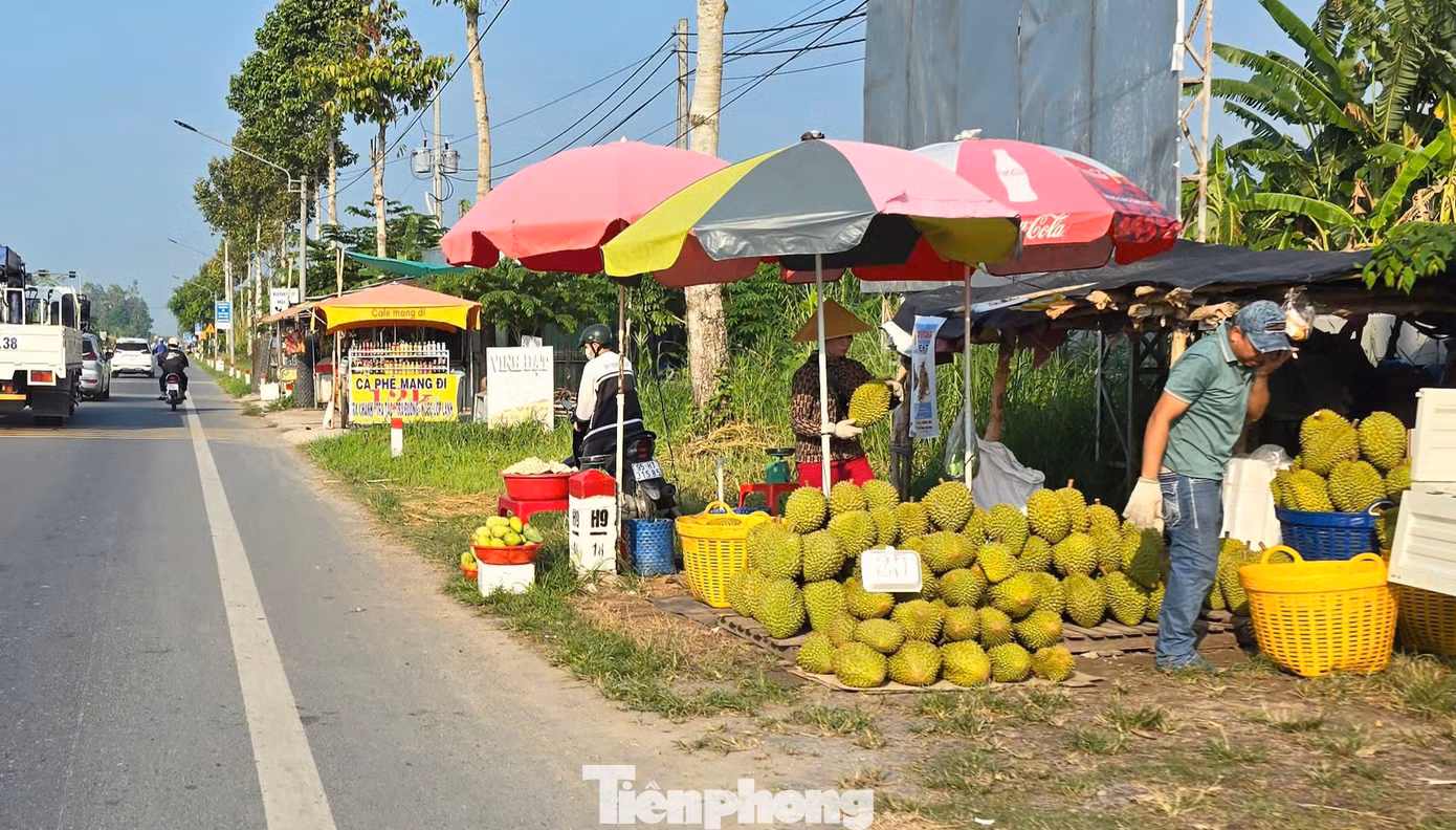 Tại Hậu Giang, đại diện Sở Nông nghiệp và Môi trường cho biết, sầu riêng là loại cây có giá trị kinh tế cao nên những năm gần đây được nhiều nông dân lựa chọn. Tuy nhiên, thị trường sầu riêng cũng gặp phải những thách thức, nhất là về chất lượng và đầu ra, giá sầu riêng giảm mạnh do nguồn cung ngày càng lớn từ việc gia tăng diện tích, trong khi thị trường nhập khẩu siết chặt kiểm soát chất lượng. Ngành chức năng khuyến cáo nông dân canh tác đảm bảo an toàn thực phẩm theo tiêu chuẩn quốc tế, nước nhập khẩu để đáp ứng thị trường tiêu thụ...