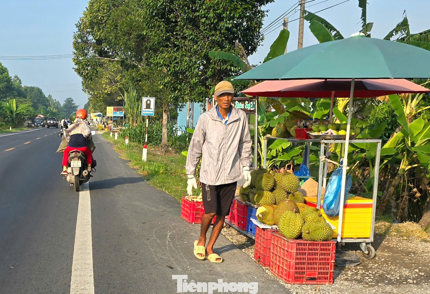 Hiện đang vào thu hoạch rộ sầu riêng ở các tỉnh miền Tây, tuy nhiên sức mua chậm, giá giảm sâu, lợi nhuận người trồng sầu riêng giảm đáng kể.