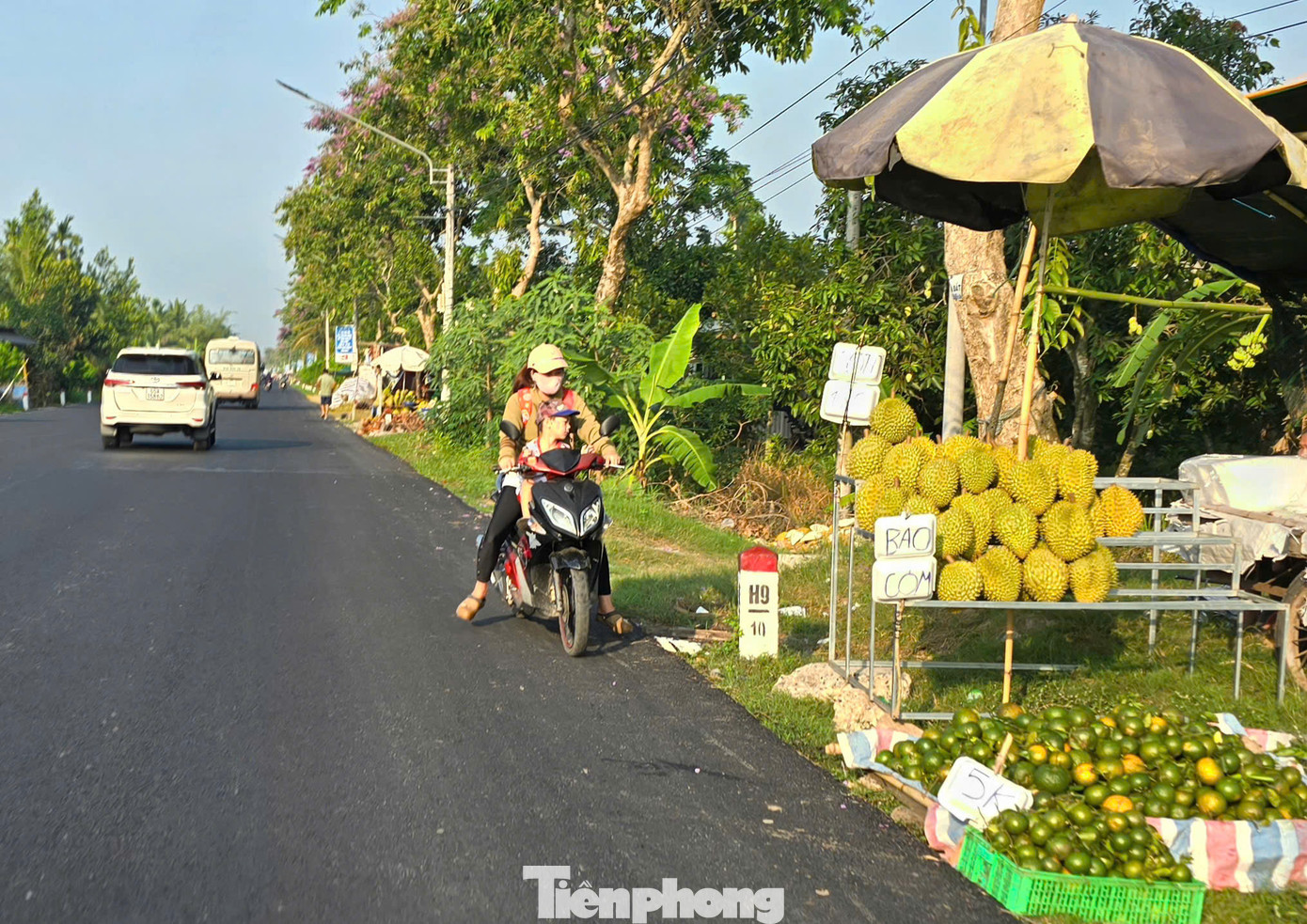 Vắng bóng thương lái thu mua nên nhiều nhà vườn đem sầu riêng ra bán lề đường với giá đa số ở mức 30.000 đồng/kg, trong khi cách đây hơn 1 tháng, giá bán tại vườn khoảng 60.000-70.000 đồng/kg.