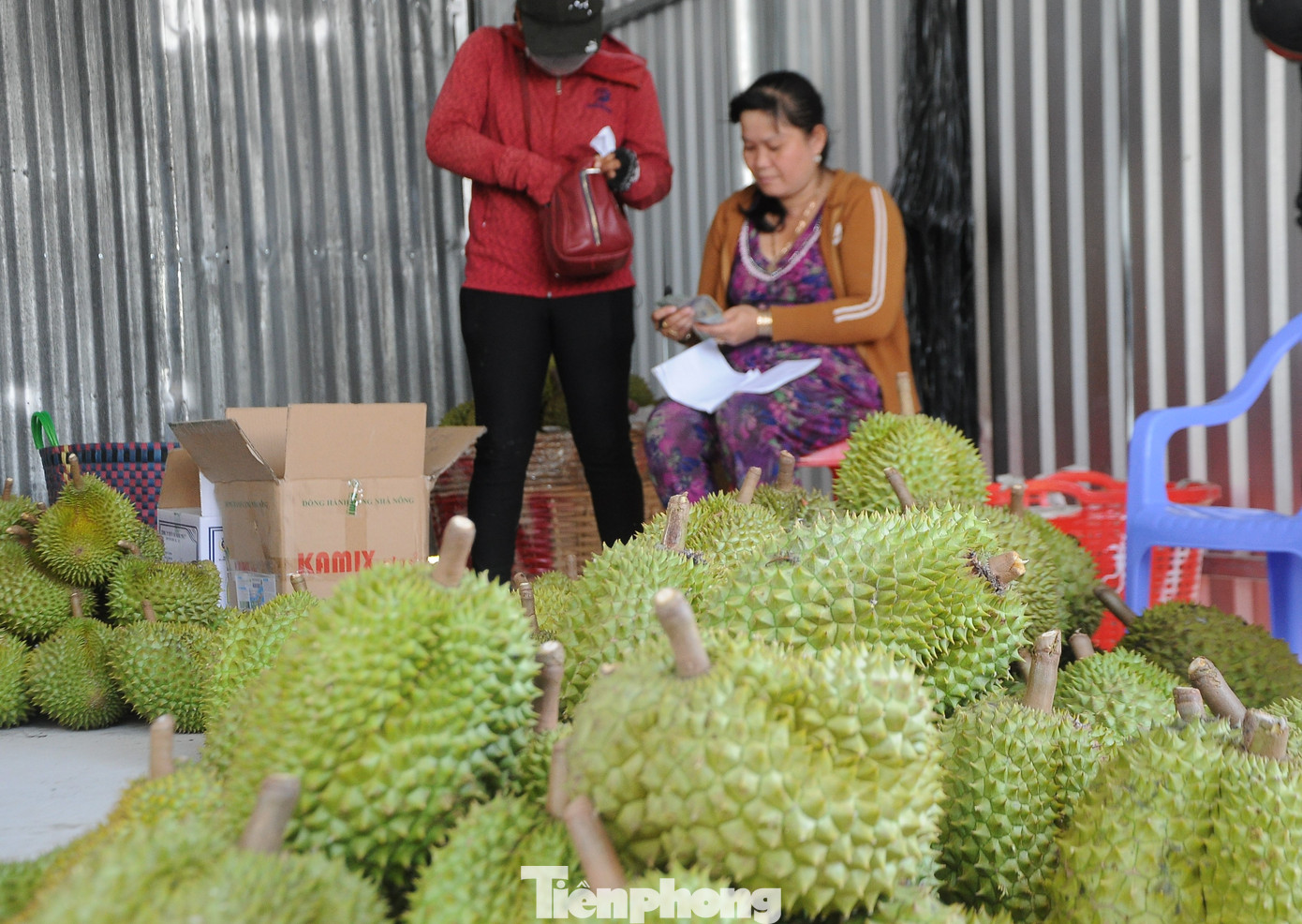 Nguyên nhân giá sầu riêng giảm sâu, bên cạnh vào thu hoạch rộ cho sản lượng lớn thì nguyên nhân quan trọng là thời gian gần đây xuất khẩu gặp khó, nhất là thị trường chủ lực Trung Quốc siết chặt kiểm soát chất lượng. "Nghe tin giá sầu riêng giảm mạnh trong thời gian gần đây bởi xuất khẩu bị chậm. Bà con mong đầu ra xuất khẩu sớm thuận lợi trở lại để sầu riêng bán được giá tốt hơn hiện nay” - ông Huỳnh Văn Tiến (xã Tân Thới, huyện Phong Ðiền, TP Cần Thơ) chia sẻ.