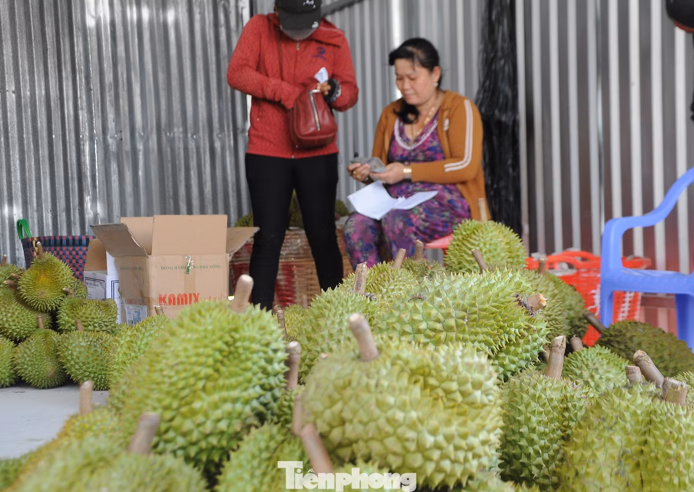 Nguyên nhân giá sầu riêng giảm sâu, bên cạnh vào thu hoạch rộ cho sản lượng lớn thì nguyên nhân quan trọng là thời gian gần đây xuất khẩu gặp khó, nhất là thị trường chủ lực Trung Quốc siết chặt kiểm soát chất lượng. "Nghe tin giá sầu riêng giảm mạnh trong thời gian gần đây bởi xuất khẩu bị chậm. Bà con mong đầu ra xuất khẩu sớm thuận lợi trở lại để sầu riêng bán được giá tốt hơn hiện nay” - ông Huỳnh Văn Tiến (xã Tân Thới, huyện Phong Ðiền, TP Cần Thơ) chia sẻ.