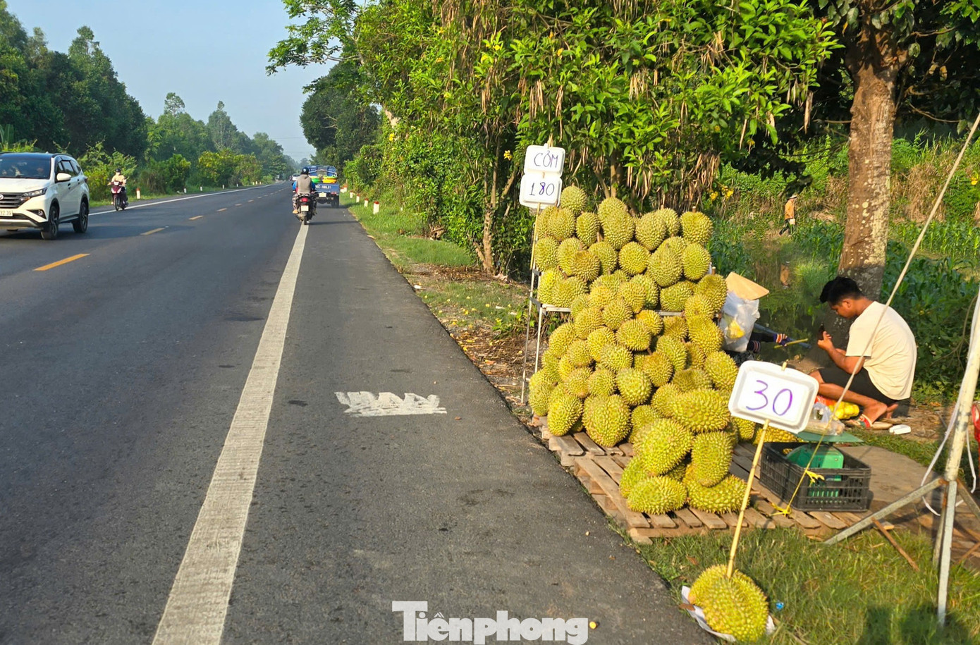Dọc tuyến quốc lộ 61C đoạn qua huyện Phong Điền (Cần Thơ) và huyện Châu Thành A (Hậu Giang), nhiều nhà vườn tập kết sầu riêng ra lề đường bán.