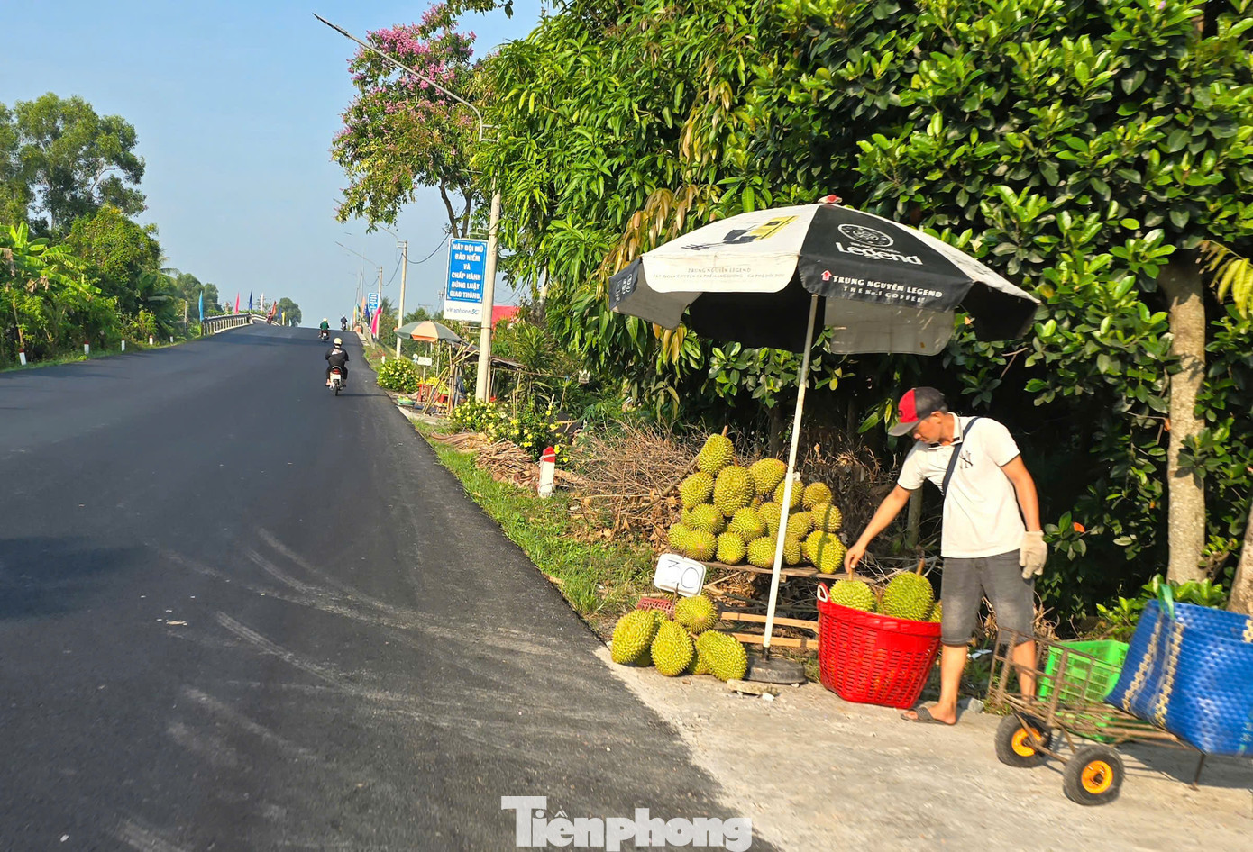 Vắng bóng thương lái thu mua nên nhiều nhà vườn đem sầu riêng ra bán lề đường với giá đa số ở mức 30.000 đồng/kg, trong khi cách đây hơn 1 tháng, giá bán tại vườn khoảng 60.000-70.000 đồng/kg.