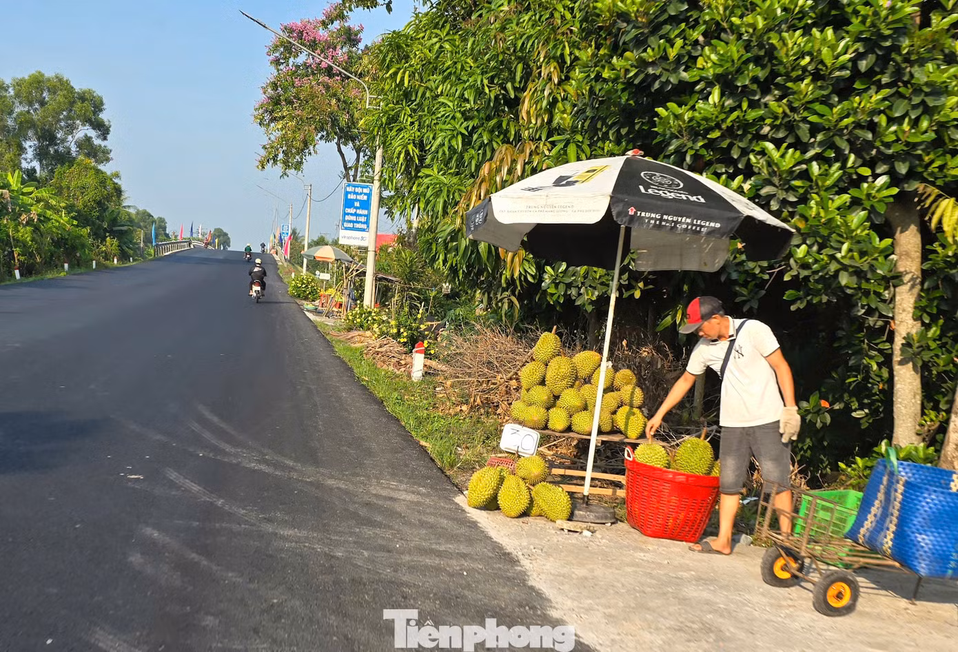 Vắng bóng thương lái thu mua nên nhiều nhà vườn đem sầu riêng ra bán lề đường với giá đa số ở mức 30.000 đồng/kg, trong khi cách đây hơn 1 tháng, giá bán tại vườn khoảng 60.000-70.000 đồng/kg.