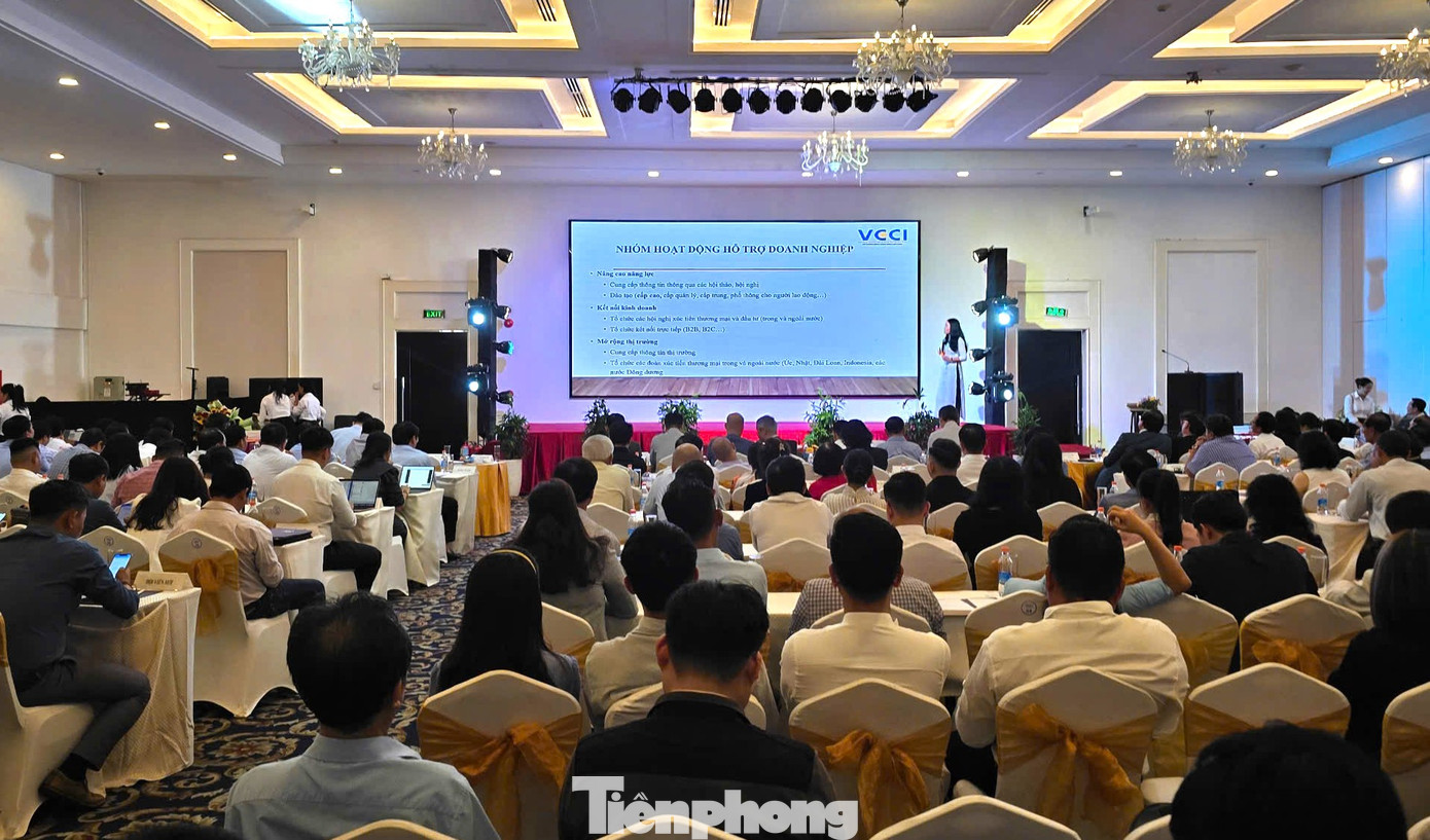 Quang cảnh hội nghị. Ảnh: CK Quang cảnh hội nghị. Ảnh: CK