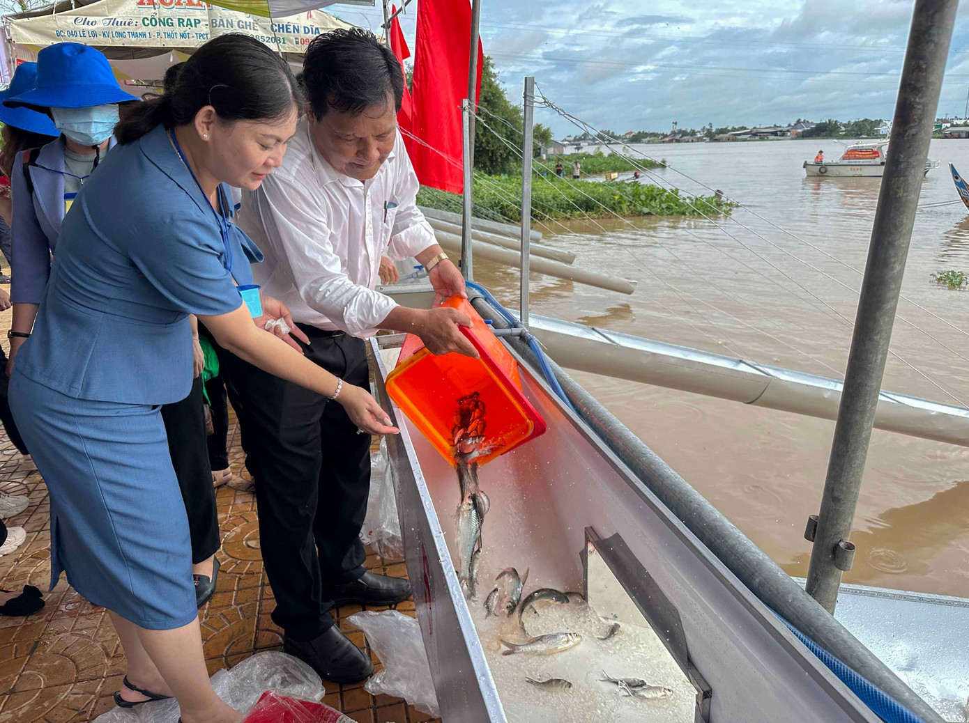 Nhiều loài cá thả xuống sông Hậu có giá trị kinh tế cao. Nhiều loài cá thả xuống sông Hậu có giá trị kinh tế cao.