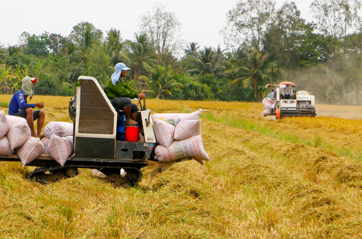 Thu hoạch lúa ở Đồng bằng sông Cửu Long. Thu hoạch lúa ở Đồng bằng sông Cửu Long.