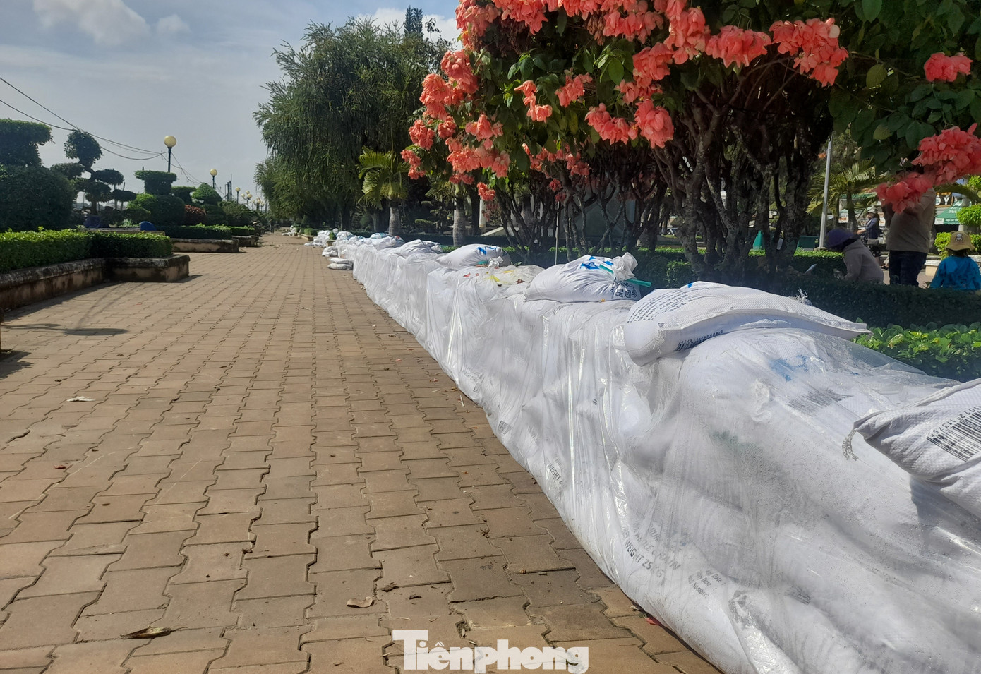 Sau ngập sâu, Bến Ninh Kiều được xây tường bao ngăn triều cường ảnh 9