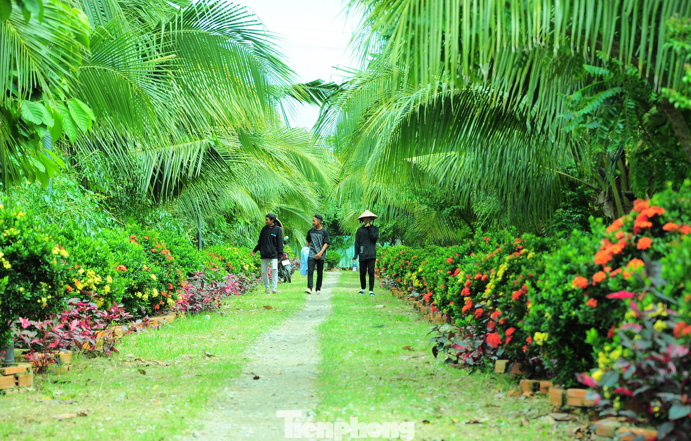 Không gian xanh mướt, nhiều hoa ở khu du lịch. Không gian xanh mướt, nhiều hoa ở khu du lịch.