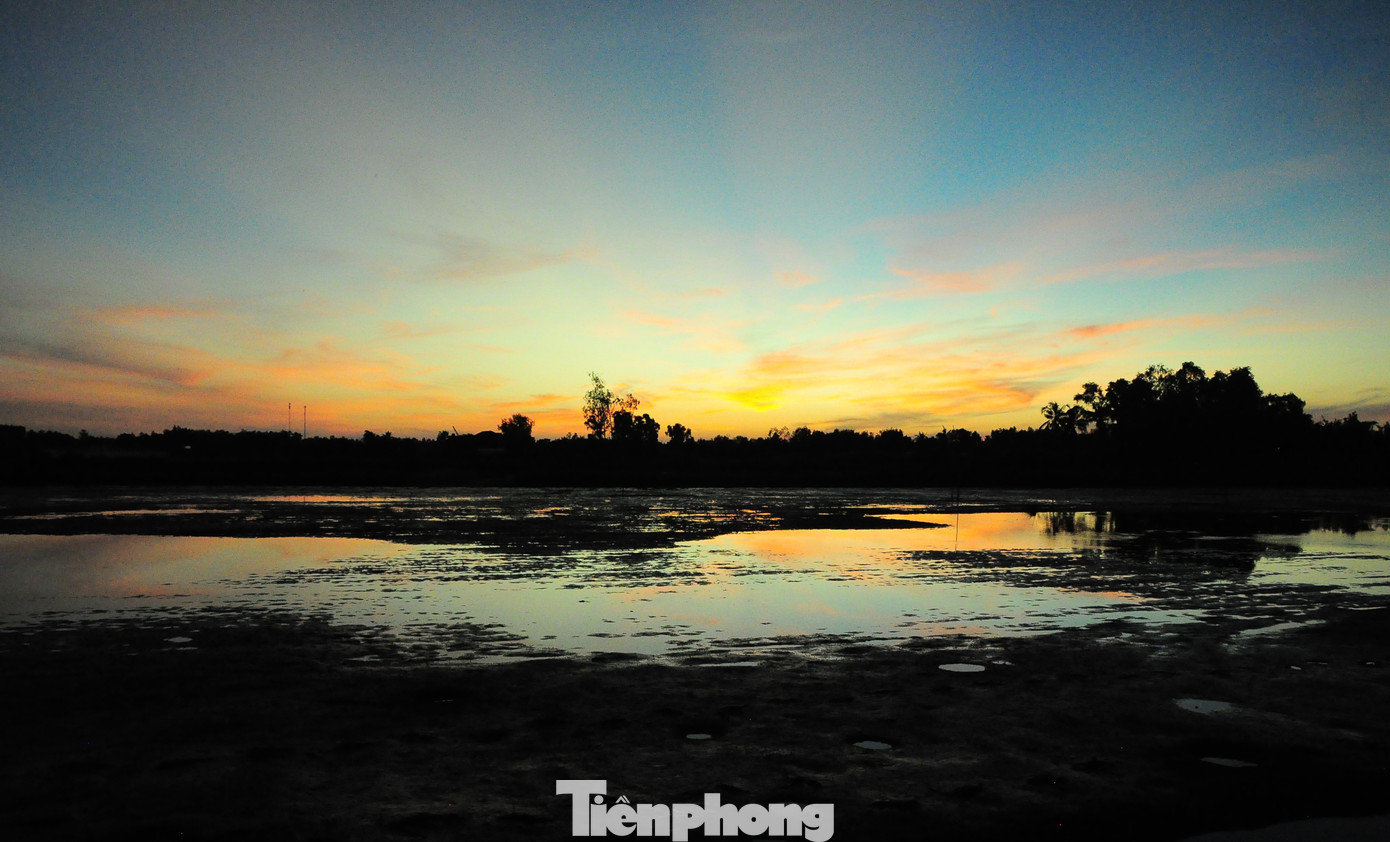 Những vuông tôm được rút cạn nước trong đêm để thu hoạch vào rạng sáng.