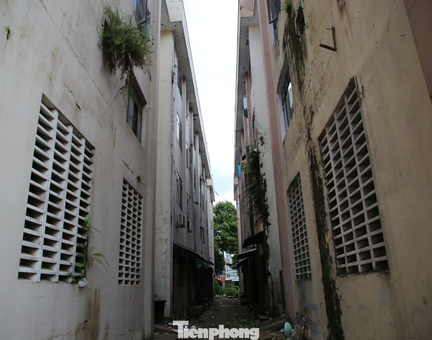 Chủ tịch Cần Thơ chỉ đạo khẩn trương tiến hành kiểm tra, rà soát, đánh giá tình trạng PCCC tại các khu chung cư.