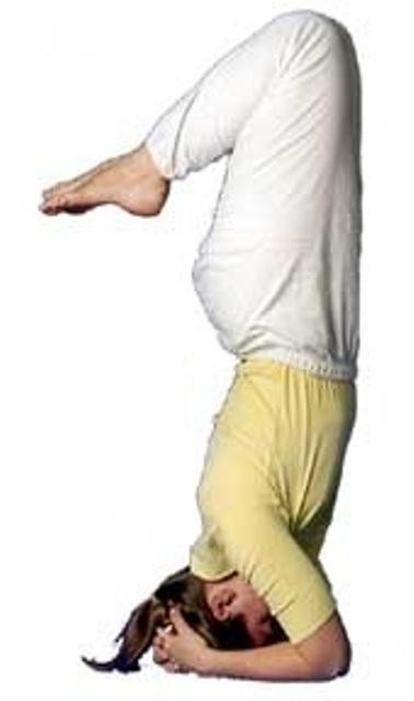 Yoga trồng chuối Yoga trồng chuối