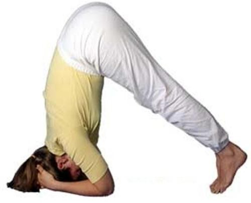 Cách trồng cây chuối trong yoga Cách trồng cây chuối trong yoga