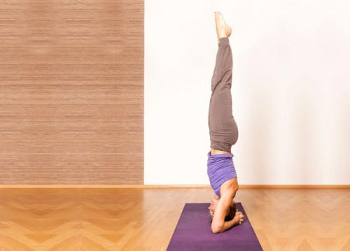 Tập tư thế trồng chuối yoga giúp trị bách bệnh Tập tư thế trồng chuối Yoga giúp trị bách bệnh