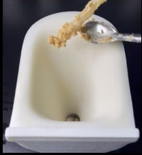 Chất liệu bồn cầu mới trơn trượt, chống dính tốt. (Nguồn video: Tài liệu bổ sung từ Li và cộng sự 2023)