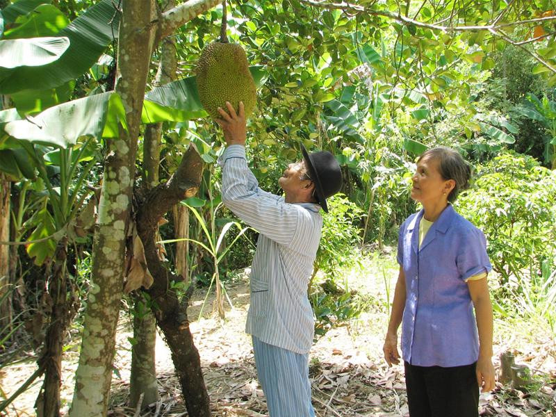 Ông Châu Hồng Hải cùng vợ trong vườn nhà. Ảnh: Hoàng Lam