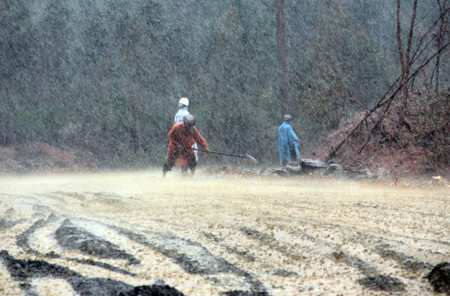 Các công nhân nỗ lực làm đường trong cơn mưa nặng hạt.. Các công nhân nỗ lực làm đường trong cơn mưa nặng hạt.