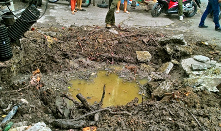 Hà Nội: Xà cừ cổ thụ bật gốc, một nữ sinh bị thương ảnh 1