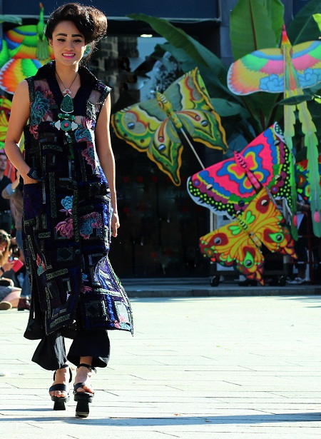 Vụ người mẫu bán dâm: Không có sức ép nào để đổ lỗi ảnh 1