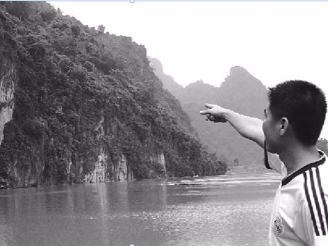 Nếu ai có được một chiếc lá của loại cây này người đó sẽ nhanh chóng chiếm được tình cảm của người mình yêu