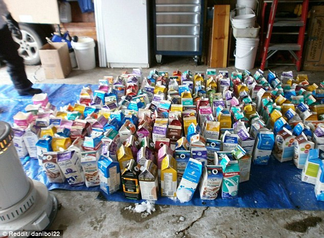 Những hộp sữa đã được Daniel Gray sưu tập để 