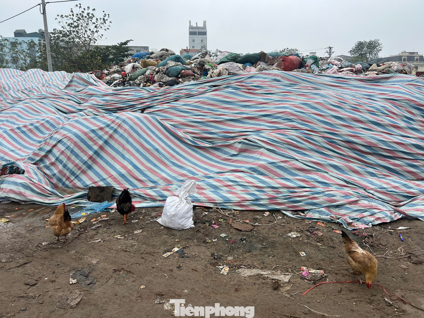 Đối với việc truy tìm người đổ rác thải tại đây, UBND xã La Phù cho biết: Cơ quan công an đang tích cực xác minh đơn vị đổ trộm. "Tuy nhiên, việc xác minh sẽ mất thời gian bởi khả năng cao không phải chỉ một cá nhân, đơn vị đổ rác thải", đại diện UBND xã La Phù nhận định.