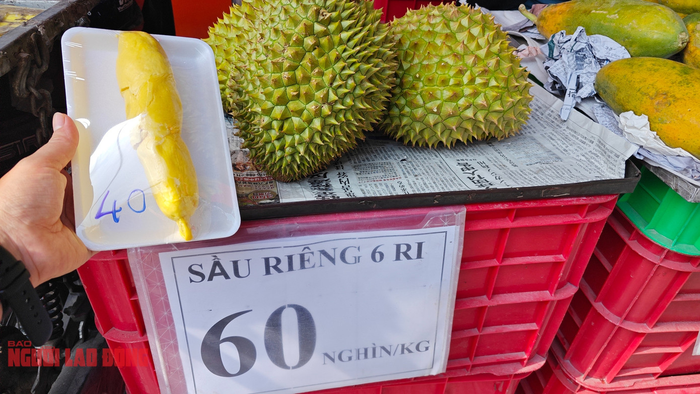 Giá sầu riêng "loạn". Giá sầu riêng "loạn".